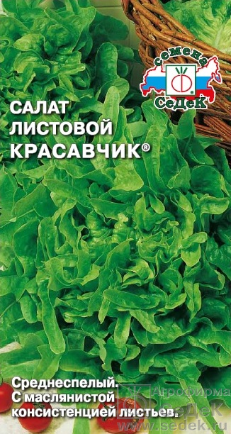 Салат Красавчик листовой Седек 0,5 г цв/п