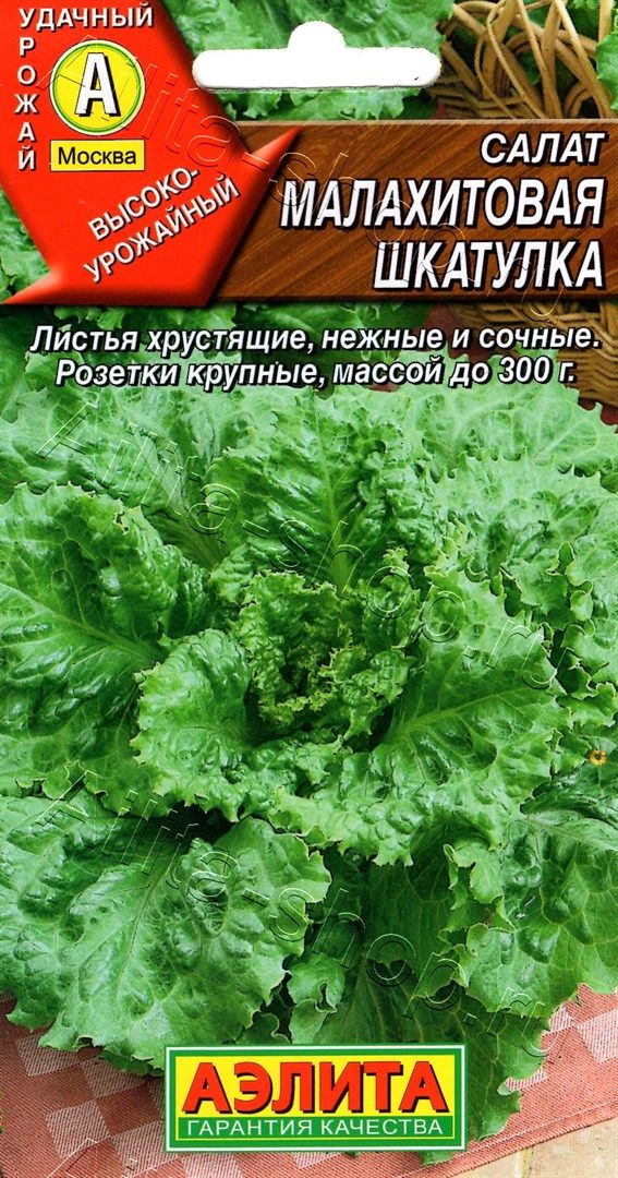 Салат Малахитовая шкатулка Аэлита 0,5 г цв/п