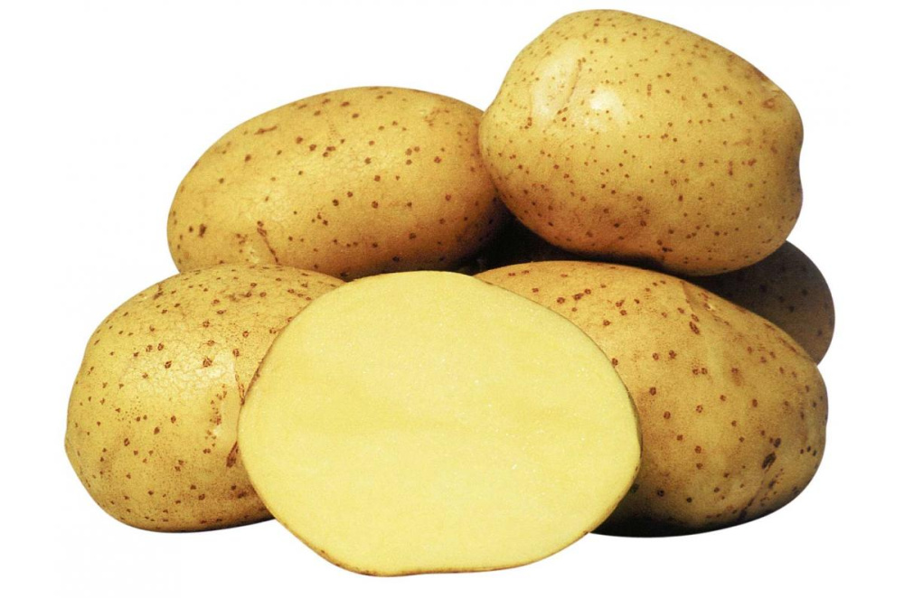 Картофель Колетте 1 кг