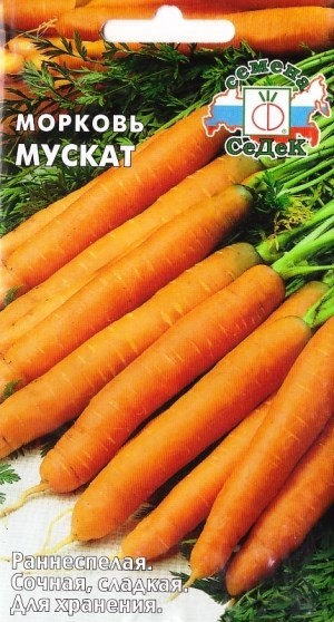 Мускат 1гр Морковь 