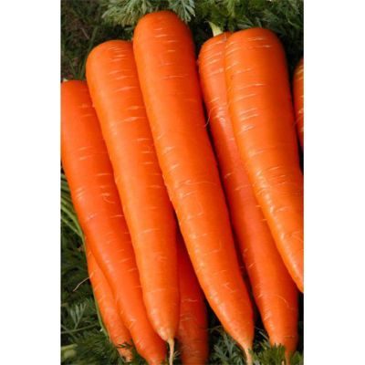 Витаминная-6 300-400шт драже Морковь