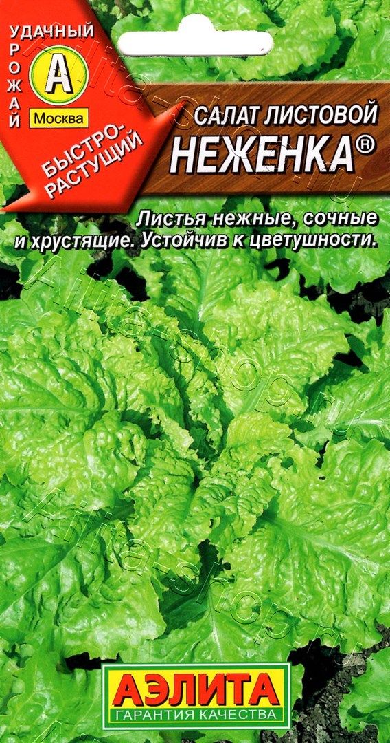 Салат Неженка листовой Аэлита 0,5 г цв/п