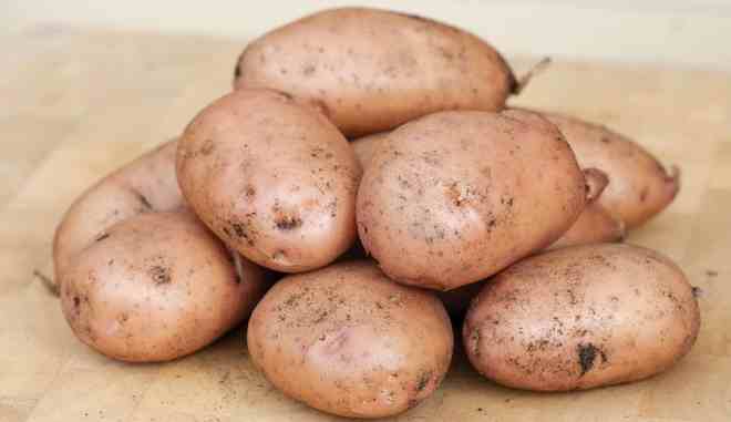 Картофель Ажур 1 кг  